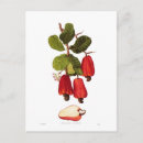 Search for wild fruit postcards Botanical
