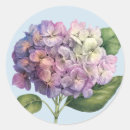 Search for lavender hydrangea stickers Flower