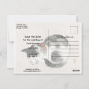 Search for sleeping postcards Kitten