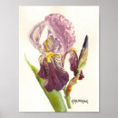 Search for purple iris posters Watercolor
