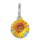 Search for sunflower pet tags Yellow