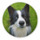 Search for cat knobs and pulls Dog