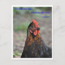 Search for bird sayings postcards Animal