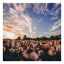 Search for plain posters Flowers