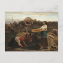 Search for harvester postcards Harvesting