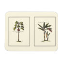 Search for miniature magnets Trees
