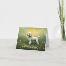 Search for standard poodles cards Miniature