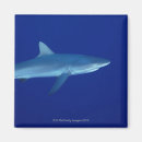 Search for sea side magnets Blue