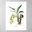Search for drakes posters Vintage