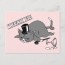 Search for cute pun postcards Kitty