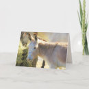Search for delight cards Cute
