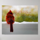 Search for visitor posters Cardinal