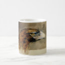Search for golden eagles mugs Hawk