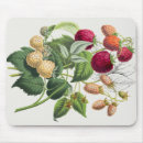 Search for strawberry mouse mats Nature