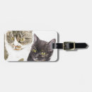 Search for tortie accessories Tabby