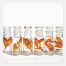 Search for shot glass labels Humour