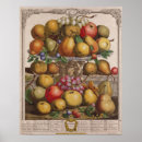 Search for fruit season chart Seasonal