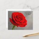 Search for red rose note postcards Floral