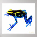 Search for dendrobates posters Poison