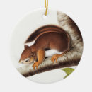 Search for squirrel christmas tree decorations Mammal