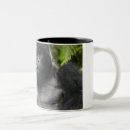 Search for silverback gorillas mugs Africa