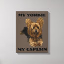 Search for yorkie lover posters Yorkies