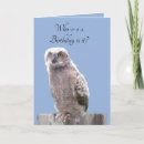 Search for wild bird cards Raptor