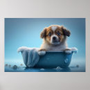 Search for dog grooming posters Puppy