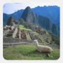 Search for picchu stickers Landscape