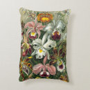 Search for rainforest cushions Orchids