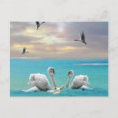 Search for babys daddy horizontal postcards For her