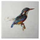 Search for plumage tiles Animal