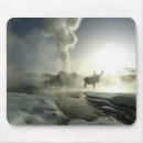Search for sunrise mouse mats Wildlife