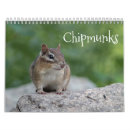 Search for chipmunk calendars Wildlife