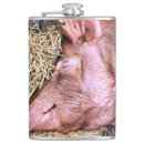 Search for hogs home living Animals