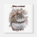 Search for squirrel magnets Critters