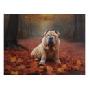 Search for pei posters Pet