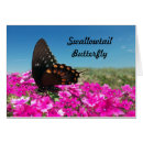 Search for spicebush Butterfly