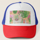 Search for llamas with hats Animal