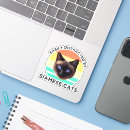 Search for siamese electronics Cat lover