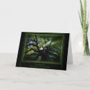Search for angel oak tree Nature