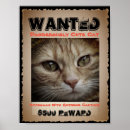 Search for cat posters Picture