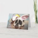 Search for french easter cards Bunny