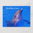 Search for fish design postcards Ocean