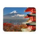 Search for pagoda magnets Fall