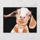 Search for pet goat postcards Animal