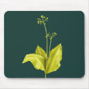 Search for garlic mouse mats Cooking