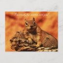 Search for preparation postcards Orange