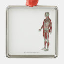 Search for musculoskeletal posters People