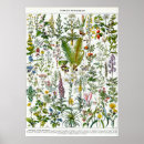 Search for medicines posters Retro